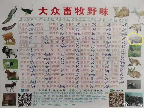 新型ウイルスに感染しないために