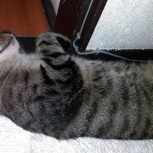 ・・にならないために